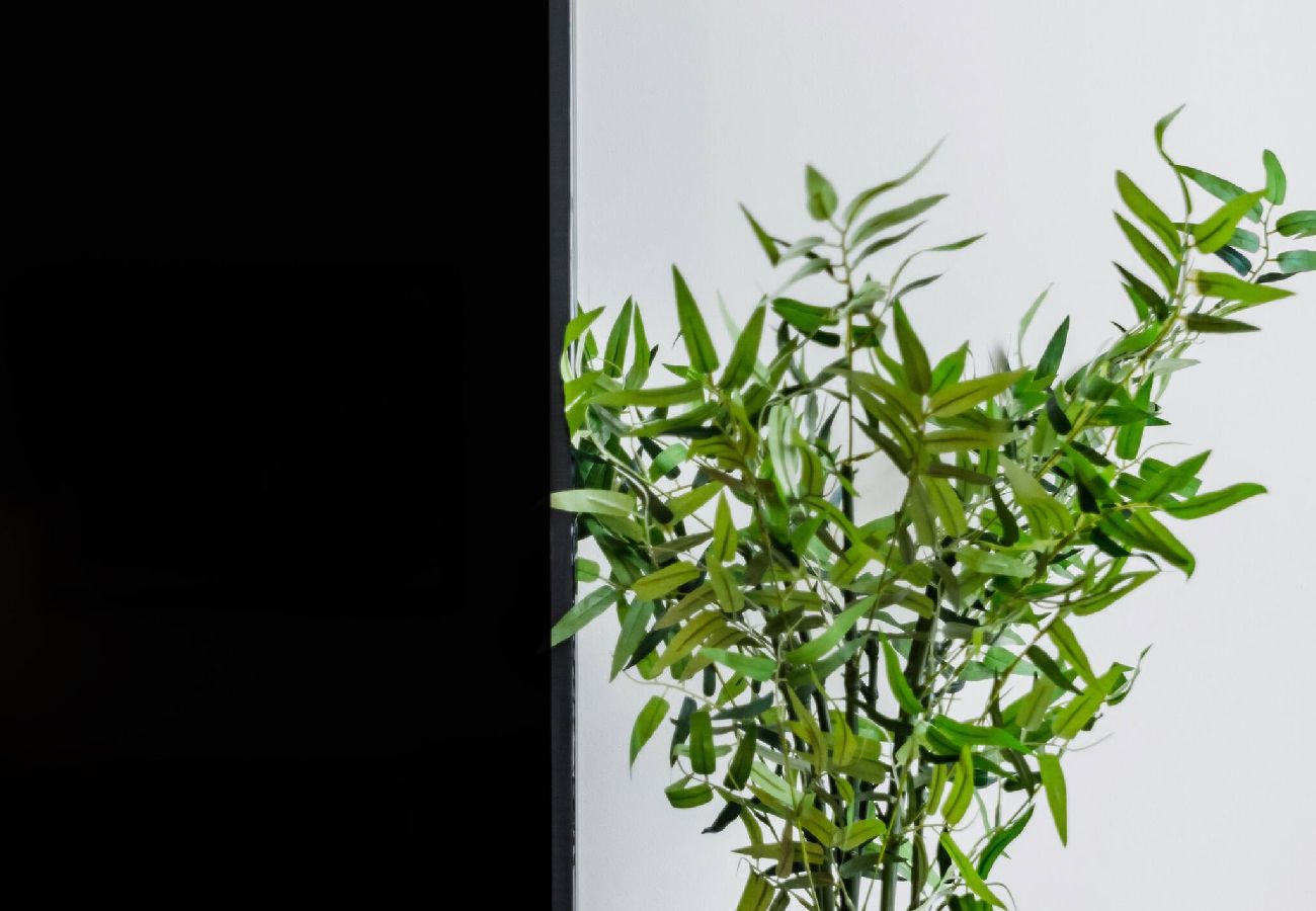 Apartment in Lisbon - S.Juliao